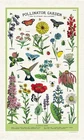Cavallini & Co. Pollinator Garden Vintage Tea Towel 100% Natural Cotton NEW!!!