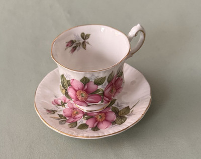 Vintage Paragon Fine Bone China Prairie Rose Teacup & Saucer Made in England