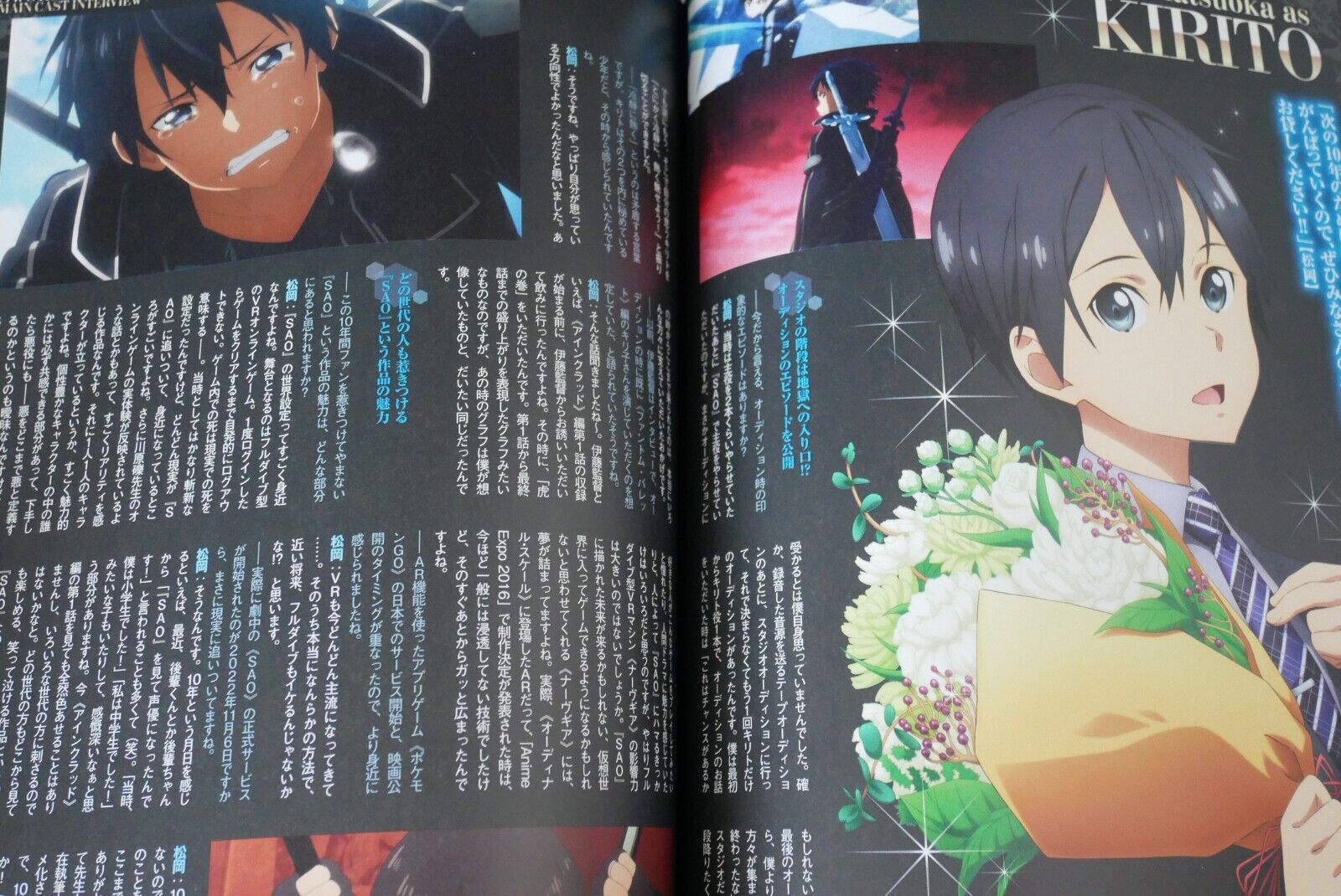 Sword Art Online Anime 10th Anniversary Book Magazine Dengeki Mook series  Japan 