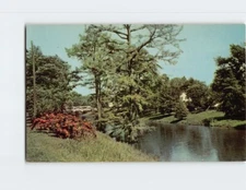 Postcard Beautiful Deer Creek Leland Mississippi USA