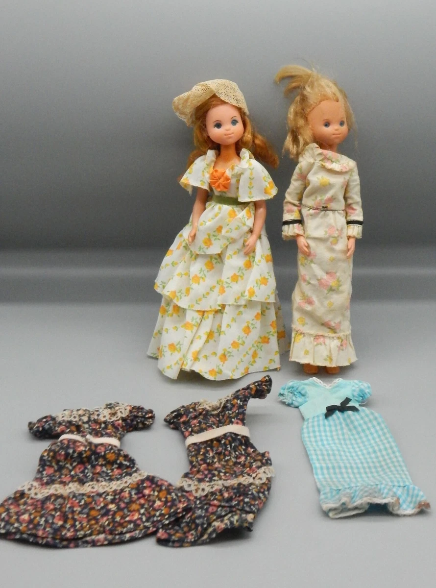 The sunshine family dolls from the 1970's sales