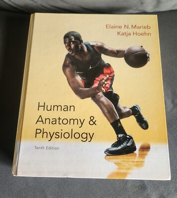 Human Anatomy And Physiology 10th Edition By Elaine N Marieb And Katja Hoehn