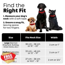 Regal Dog Products Red Reflective Collar Leash Set Biothane Waterproof Large 5ft