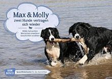 Max und Molly - zwei Hunde vertragen sich wieder. Kam... | Book | condition good