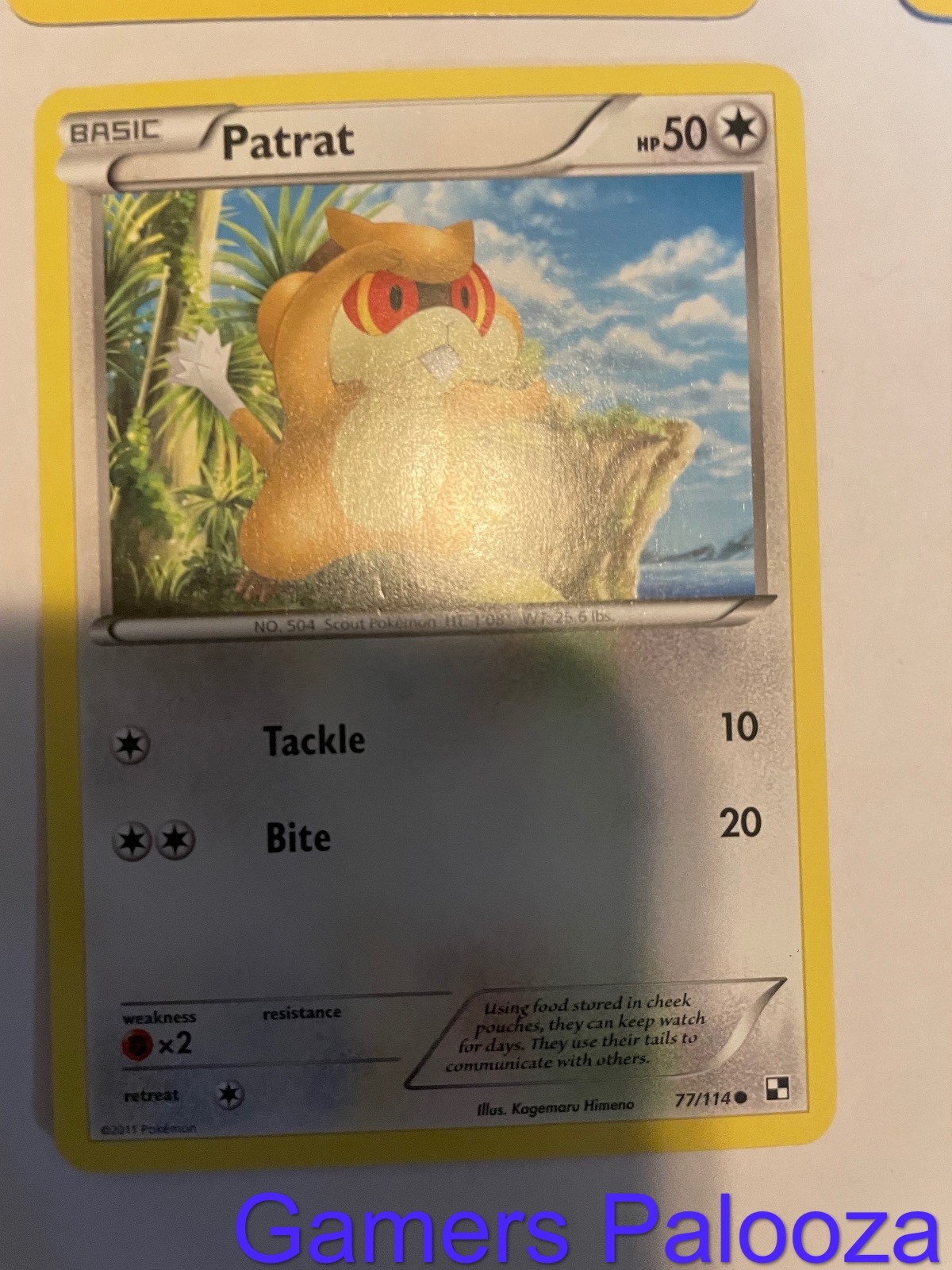 Patrat 77/114 Common Black & White Pokemon Lightly Played
