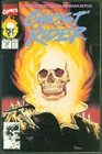 Vintage 1991 Marvel Comics Ghost Rider #18 VF Nelson Painted Cover