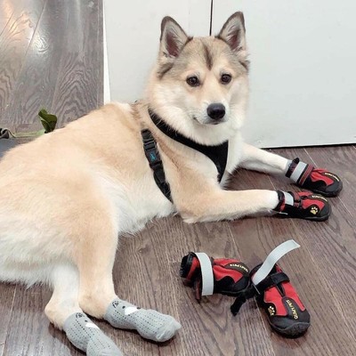 dog boots large breed