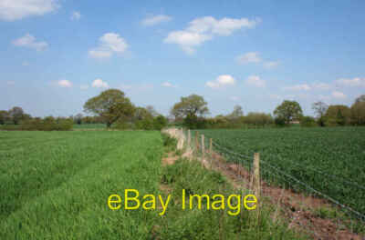 Foto 6x4 Felder in der Nähe von The Twemlows Ash Magna Zaun zwischen zwei großen flachen c2008