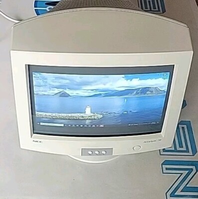 Vintage NEC AccuSync 70 16'' AS70 VGA CRT Retro Gaming Computer Monitor