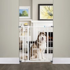 Carlson Extra Tall Walk Through Pet Gate with Small Pet Door and Extension Kit