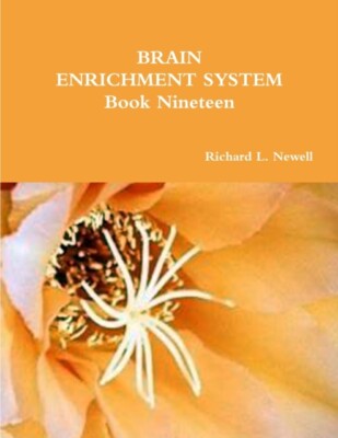 Newell - BRAIN ENRICHMENT SYSTEM Book Nineteen - New paperback or soft - X555z