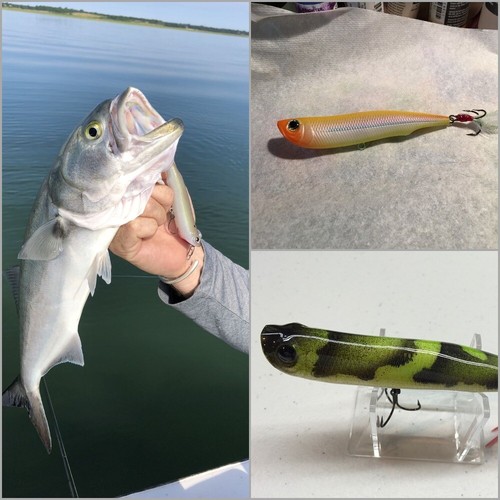 10 Blank Lure Topwater Fishing Lure 4 Inch 1/2 oz Unpainted Lure UPW622 - Picture 5 of 7