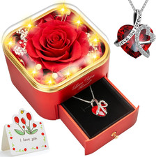 Preserved Red Real Rose with Heart Necklace -Eternal Flowers Rose Birthday Gifts