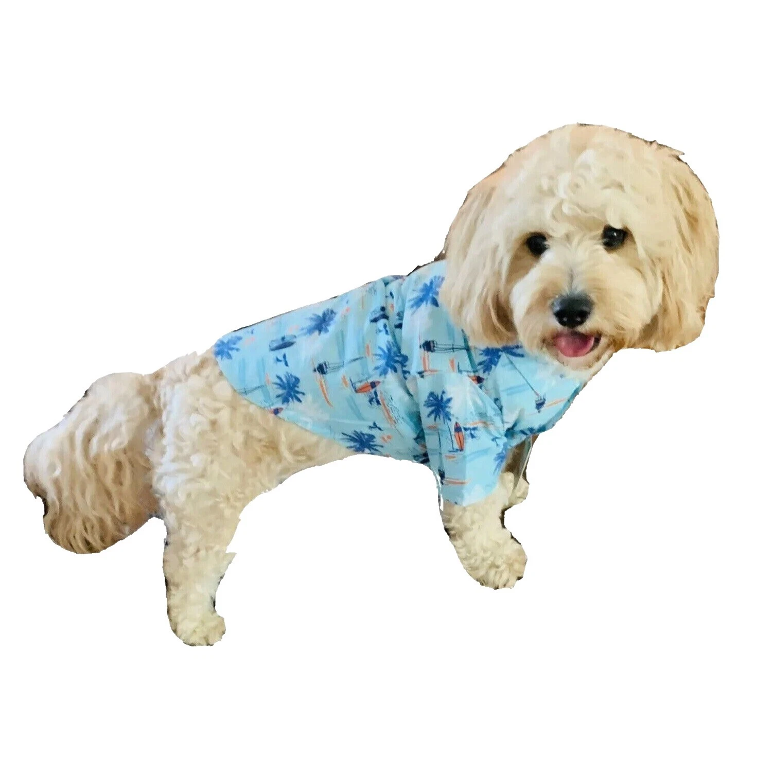 Vestidos de Perro Multicolor Halloween