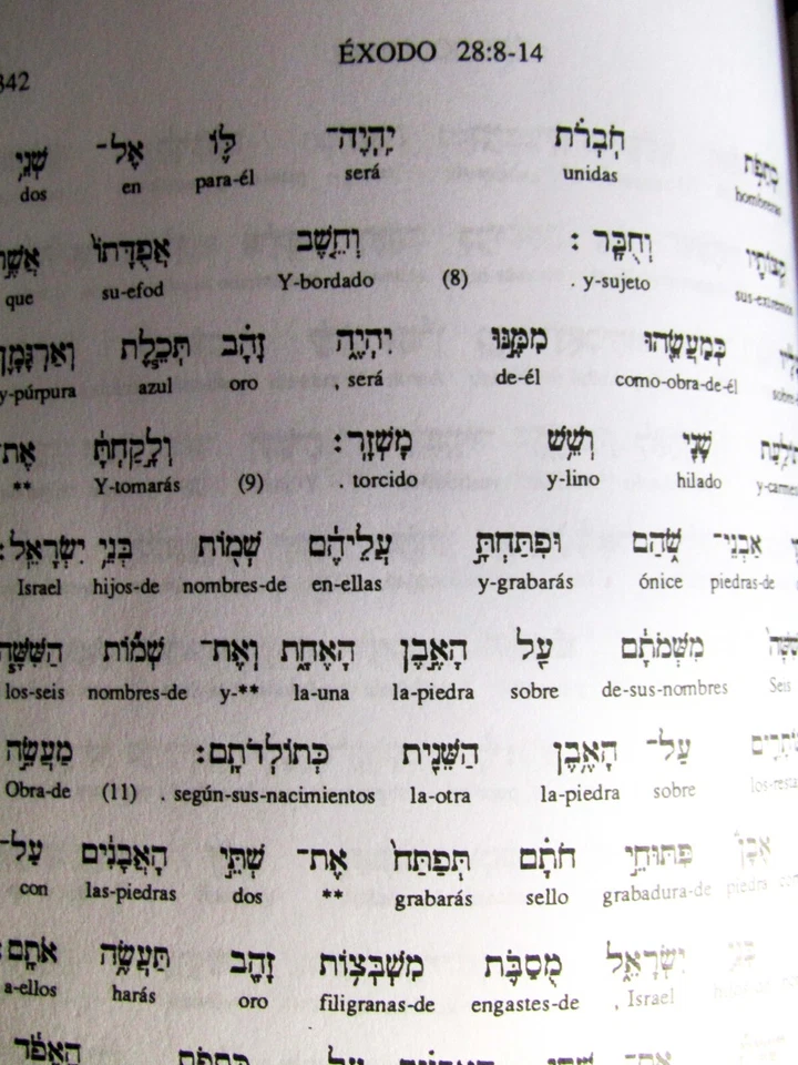 TORAH (Pentateuco) interlineal Hebreo - Español - Imagen 4 de 4