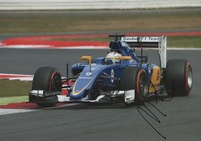 Marcus Ericsson "Sauber 2016" Autogramm signed 20x30 cm Bild