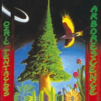 Ozric Tentacles: Ozric Tentacles: Arborescence - Edel Music - (Cd / A)