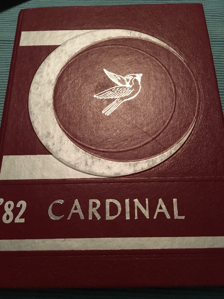 1982 Potts Camp Mississippi High School Yearbook, Potts Camp Mississippi eBay