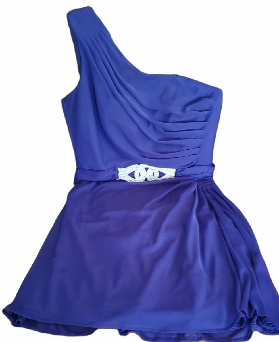 Alex Evenings Purple One Shoulder Dress