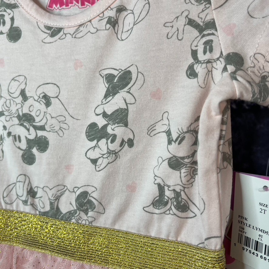 Disney 2T Minnie Mouse Pink with Gold Trim Tutu Dress Girls | eBay