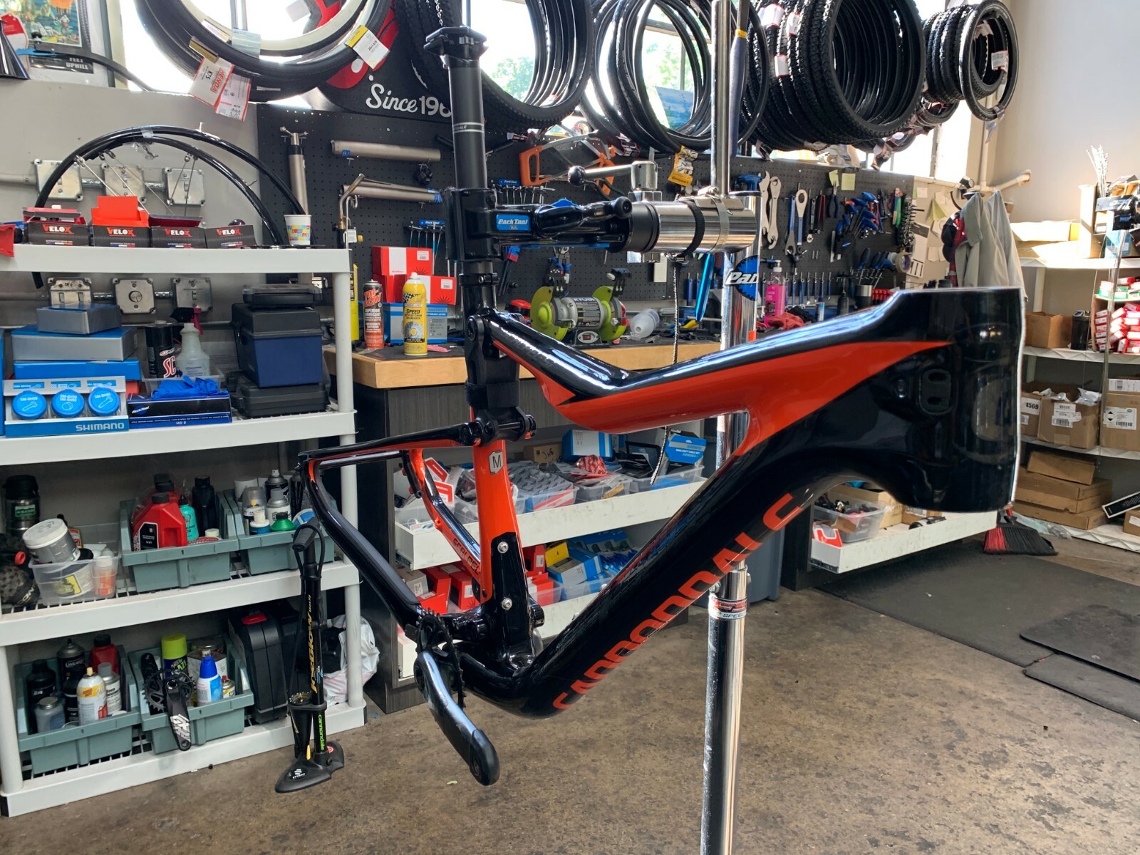 cannondale medium frame