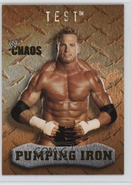 2004 Fleer WWE Chaos Pumping Iron Gold Test #90 0x4k