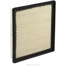 Ryco Air Filter