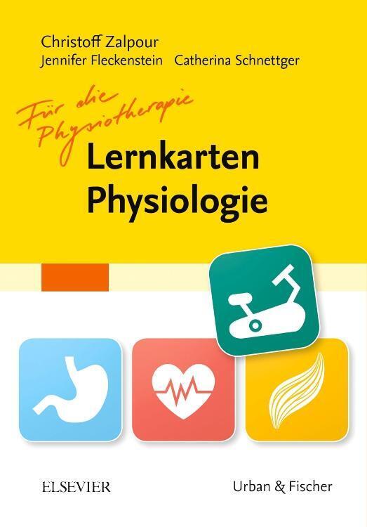 Thumbnail - Lernkarten Physiologie Für Die Physiotherapie Christoff Zalpour Box Vi