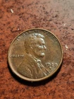 1929 S Lincoln Wheat Cent, Uncirculated San Francisco     inv12    p218