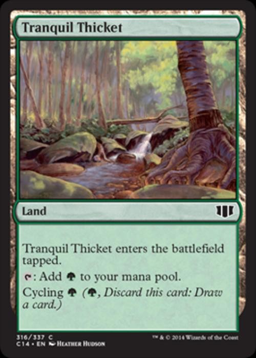 Tranquil Thicket - C14 MTG - Medium Play