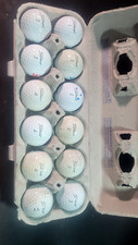 12 ProV1 Golf Balls WHITE AAA - 1 Dozen
