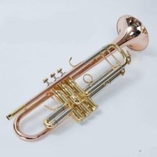 Hot sell professional Free shipping LT197GS-99 phosphor copper trumpet with case