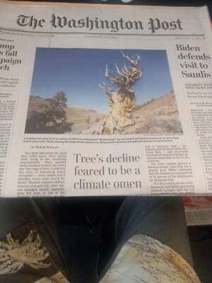 The Washington Post Friday July 15 2022