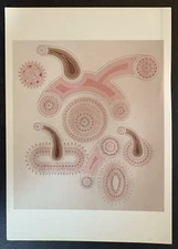 art postcard Cotter Luppi Rande Barke 2000 gallery invitation