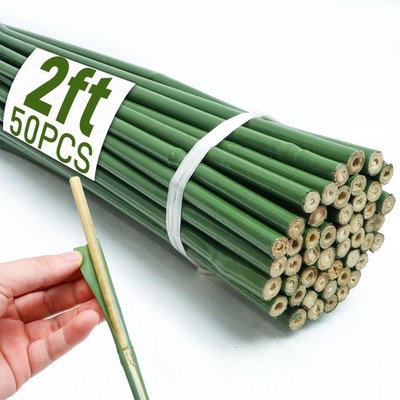 Bamboo Stakes 2ft  50 Pcs Natural Poles for Plants, Tomatoes, and Flowers