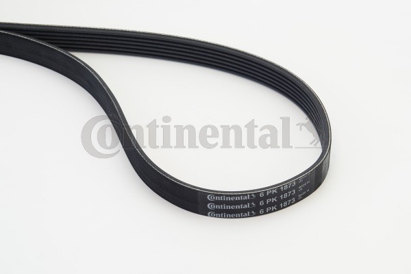 Continental Ctam 6PK1873 Keilrippenriemen FüR Audi, Chevrolet, Daewoo, Mercedes-image