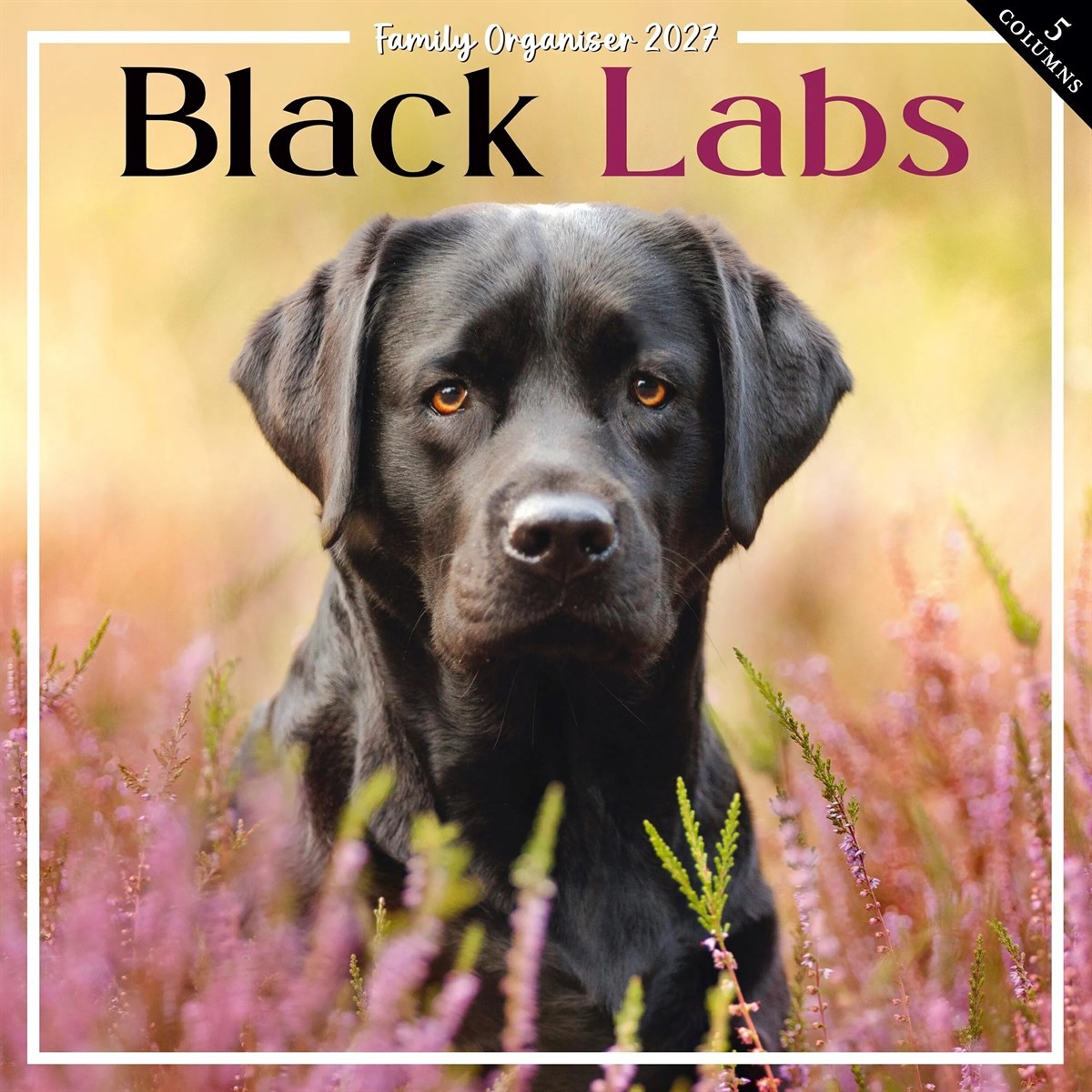 Black Labs Family Organiser 2027, Family Planners, Month To View, Dogs, Gift