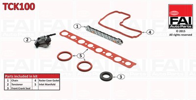 FAI AutoParts TCK100 Steuerkettensatz für CITROËN,DS,FIAT,FORD,FORD USA,JAGUAR,L