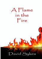 A Flame In The Fire David Sykes Taschenbuch Kartoniert / Broschiert Englisch