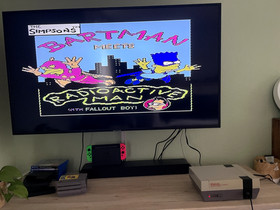 The Simpsons Bartman meets Radioactive Man - NES &ndash; Nur Modul