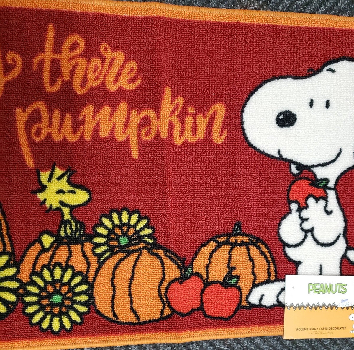 Kitchen Printed Accent Rug (17