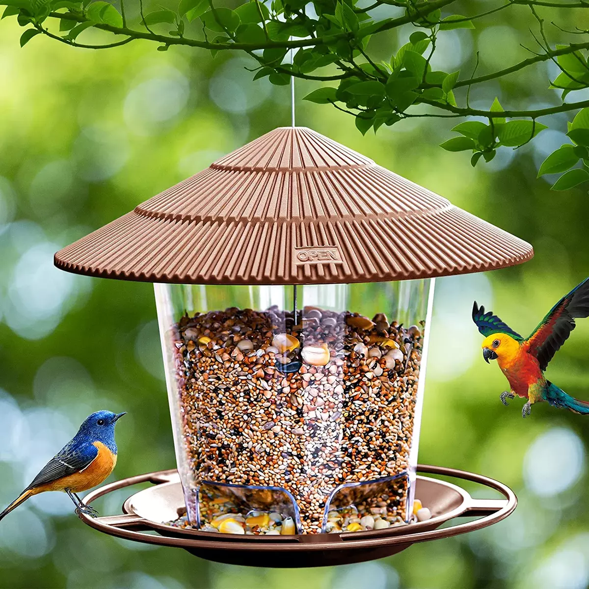 Discount wild bird clearance supplies
