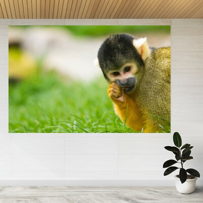 Eichhörnchen Affen Saimiri Park 3D Ansicht Wandsticker Poster Aufkleber A556