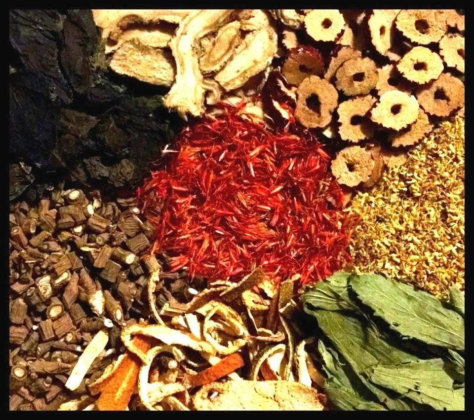 Echinacea Seeds - Purple Coneflower Echinacea purpurea - Perennial Flower Seeds - Image 4 of 4