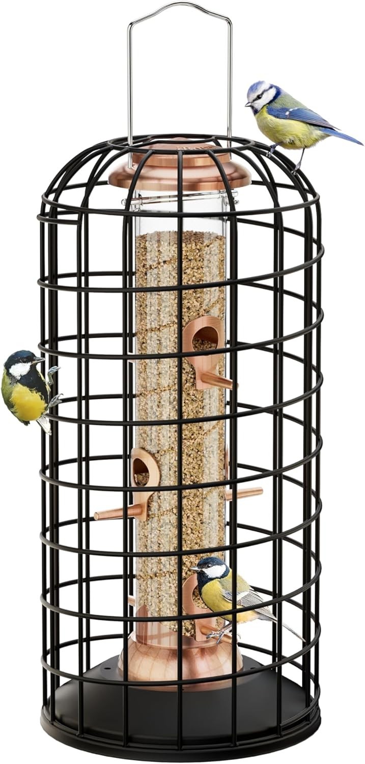 Pigeon Proof Cage Bird Feeder For Outside