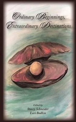 Stacey Schneider Ordinary Beginnings, Extraordinary Destinations (Taschenbuch)