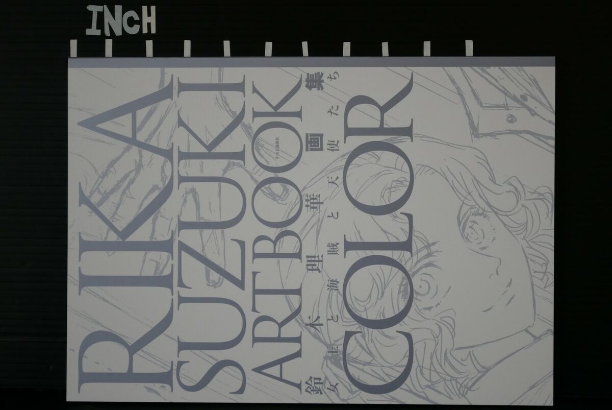 JAPAN Rika Suzuki Art Book 