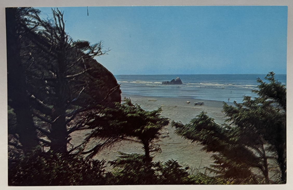 Carte Postale Ancienne Copalis Beach WA – Ellis – Reproduction Photo RPPC