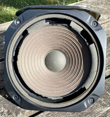 Pair Realistic Nova-18 Woofers 10'' - 1992 Original - Needs Re-Foam - Mint Cones