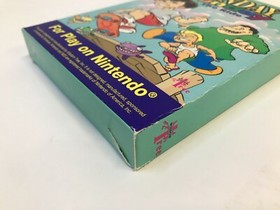 Sunday Funday The Ride - NES w/ box & manual RARE (RK)